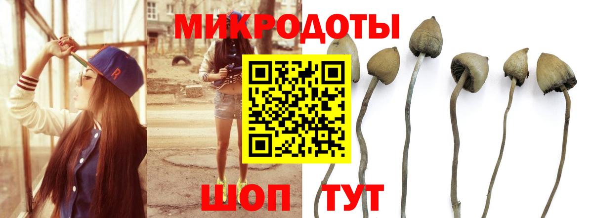 Отрадное  Галлюциногенные грибы мицелий  Вход с VPN 